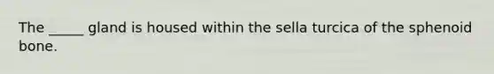 The _____ gland is housed within the sella turcica of the sphenoid bone.