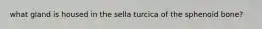 what gland is housed in the sella turcica of the sphenoid bone?