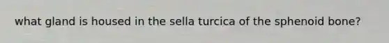 what gland is housed in the sella turcica of the sphenoid bone?