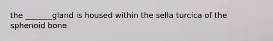the _______gland is housed within the sella turcica of the sphenoid bone