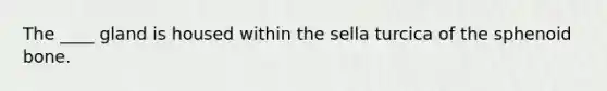 The ____ gland is housed within the sella turcica of the sphenoid bone.