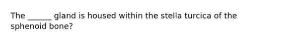 The ______ gland is housed within the stella turcica of the sphenoid bone?