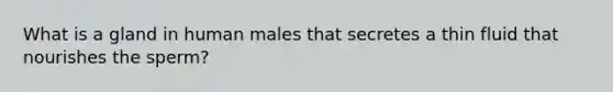 What is a gland in human males that secretes a thin fluid that nourishes the sperm?