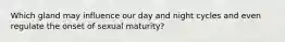 Which gland may influence our day and night cycles and even regulate the onset of sexual maturity?