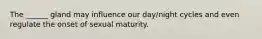 The ______ gland may influence our day/night cycles and even regulate the onset of sexual maturity.