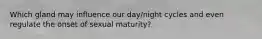 Which gland may influence our day/night cycles and even regulate the onset of sexual maturity?