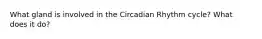 What gland is involved in the Circadian Rhythm cycle? What does it do?