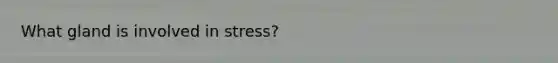 What gland is involved in stress?