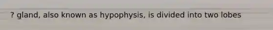 ? gland, also known as hypophysis, is divided into two lobes