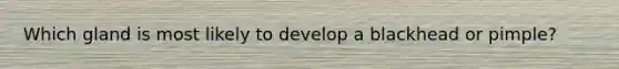 Which gland is most likely to develop a blackhead or pimple?