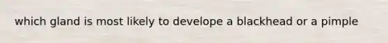 which gland is most likely to develope a blackhead or a pimple