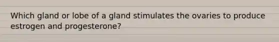 Which gland or lobe of a gland stimulates the ovaries to produce estrogen and progesterone?