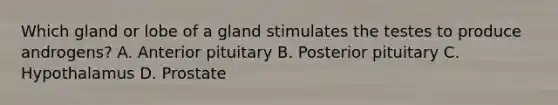 Which gland or lobe of a gland stimulates the testes to produce androgens? A. Anterior pituitary B. Posterior pituitary C. Hypothalamus D. Prostate