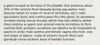 a gland located at the base of the bladder that produces about 30% of the seminal fluid released during ejaculation main features (what it's made of; level of sensitivity; etc.): both ejaculatory ducts and urethra pass thru this gland. its secretions increase during sexual arousal, which flow into urethra, where they combine w sperm and seminal vesicle secretions to form seminal fluid. prostatic secretions are alkaline to be hospitable to sperm in acidic male urethra and female vagina structure: size and shape of walnut. made of smooth muscle fibers and glandular tissue location: base of bladder function: