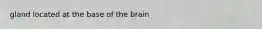 gland located at the base of the brain