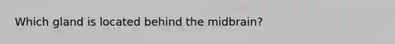 Which gland is located behind the midbrain?