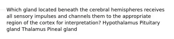 Which gland located beneath the cerebral hemispheres receives all sensory impulses and channels them to the appropriate region of the cortex for interpretation? Hypothalamus Pituitary gland Thalamus Pineal gland