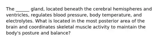 The ______ gland, located beneath the cerebral hemispheres and ventricles, regulates blood pressure, body temperature, and electrolytes. What is located in the most posterior area of the brain and coordinates skeletal muscle activity to maintain the body's posture and balance?