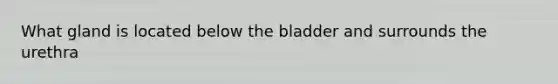 What gland is located below the bladder and surrounds the urethra