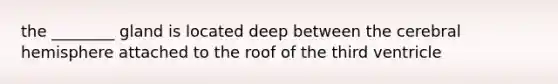 the ________ gland is located deep between the cerebral hemisphere attached to the roof of the third ventricle