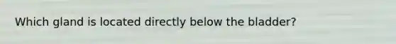 Which gland is located directly below the bladder?