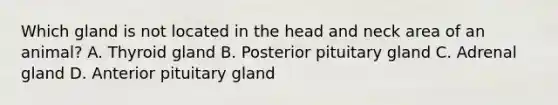 Which gland is not located in the head and neck area of an animal? A. Thyroid gland B. Posterior pituitary gland C. Adrenal gland D. Anterior pituitary gland