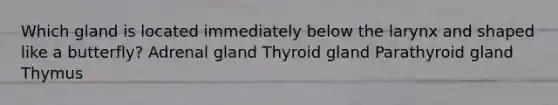 Which gland is located immediately below the larynx and shaped like a butterfly? Adrenal gland Thyroid gland Parathyroid gland Thymus