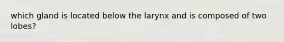 which gland is located below the larynx and is composed of two lobes?