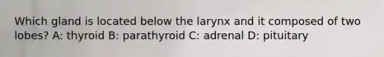 Which gland is located below the larynx and it composed of two lobes? A: thyroid B: parathyroid C: adrenal D: pituitary