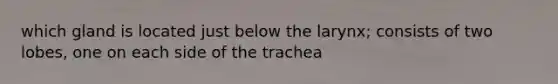 which gland is located just below the larynx; consists of two lobes, one on each side of the trachea