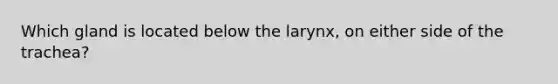 Which gland is located below the larynx, on either side of the trachea?