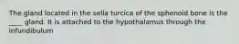 The gland located in the sella turcica of the sphenoid bone is the ____ gland. It is attached to the hypothalamus through the infundibulum