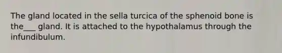 The gland located in the sella turcica of the sphenoid bone is the___ gland. It is attached to the hypothalamus through the infundibulum.