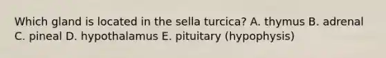 Which gland is located in the sella turcica? A. thymus B. adrenal C. pineal D. hypothalamus E. pituitary (hypophysis)