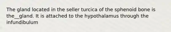 The gland located in the seller turcica of the sphenoid bone is the__gland. It is attached to the hypothalamus through the infundibulum