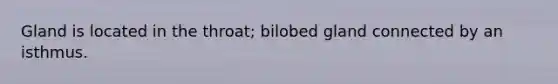 Gland is located in the throat; bilobed gland connected by an isthmus.