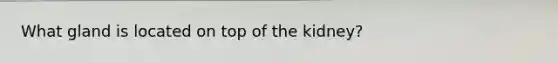 What gland is located on top of the kidney?