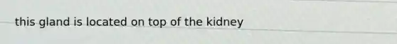 this gland is located on top of the kidney