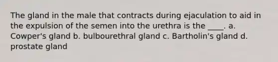 The gland in the male that contracts during ejaculation to aid in the expulsion of the semen into the urethra is the ____. a. Cowper's gland b. bulbourethral gland c. Bartholin's gland d. prostate gland