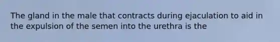 The gland in the male that contracts during ejaculation to aid in the expulsion of the semen into the urethra is the