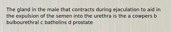 The gland in the male that contracts during ejaculation to aid in the expulsion of the semen into the urethra is the a cowpers b bulbourethral c batholins d prostate