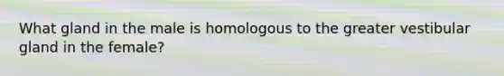 What gland in the male is homologous to the greater vestibular gland in the female?