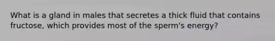 What is a gland in males that secretes a thick fluid that contains fructose, which provides most of the sperm's energy?