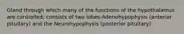 Gland through which many of the functions of the hypothalamus are controlled; consists of two lobes-Adenohypophysis (anterior pituitary) and the Neurohypophysis (posterior pituitary)