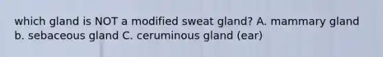 which gland is NOT a modified sweat gland? A. mammary gland b. sebaceous gland C. ceruminous gland (ear)