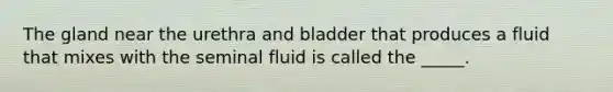 The gland near the urethra and bladder that produces a fluid that mixes with the seminal fluid is called the _____.