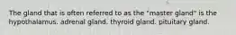 The gland that is often referred to as the "master gland" is the hypothalamus. adrenal gland. thyroid gland. pituitary gland.