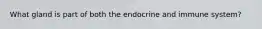 What gland is part of both the endocrine and immune system?