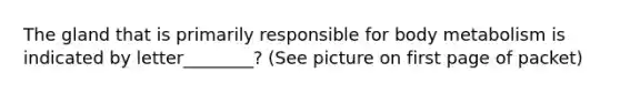 The gland that is primarily responsible for body metabolism is indicated by letter________? (See picture on first page of packet)