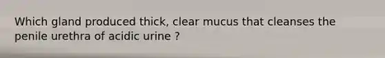 Which gland produced thick, clear mucus that cleanses the penile urethra of acidic urine ?